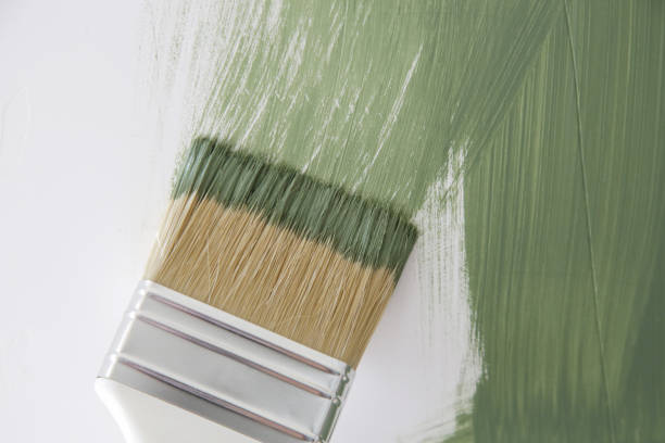 Best Mold Damage Restoration  in Ranchos De Taos, NM