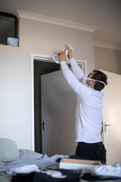 Best Mold Removal for HVAC Installations  in Ranchos De Taos, NM