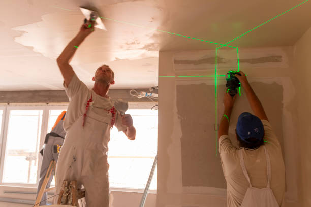 Best Black Mold Removal  in Ranchos De Taos, NM